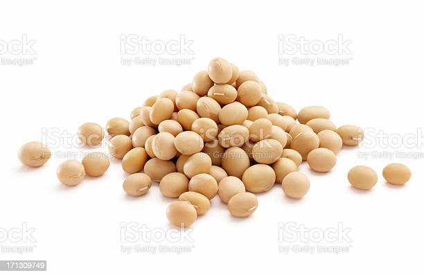 Soy Products and Muscle Gains 