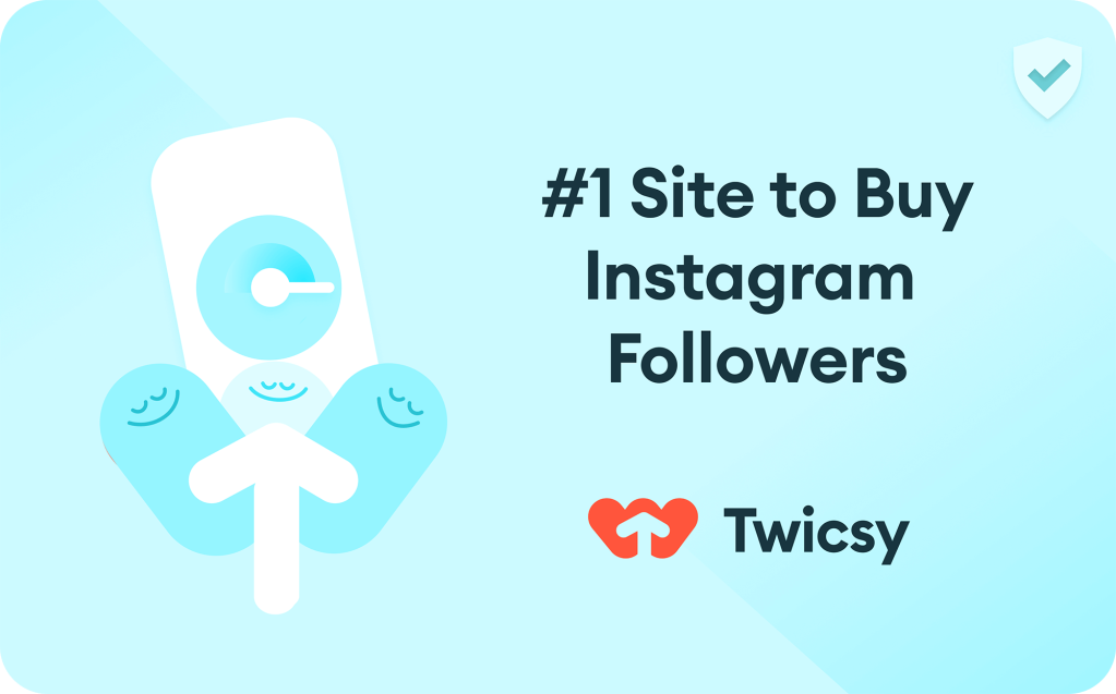 Buy Instagram Followers Twicsy and Likes From a Reputable Website