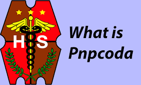 PNPCoda Review: Things You Need To Know About PNP Coda